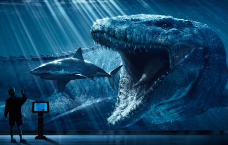 综艺节目录制现场